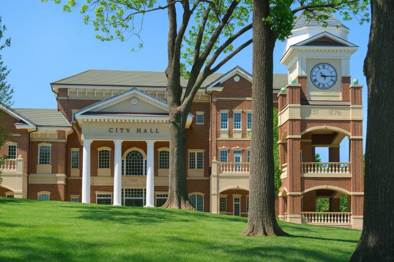 Local Land Clearing pros at work