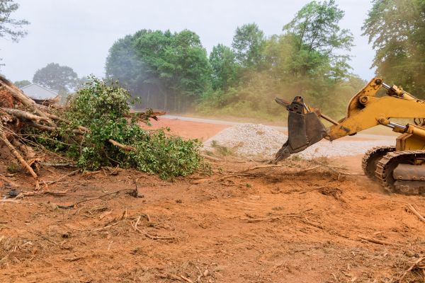 Cost of Ground Clearing in Mcallen