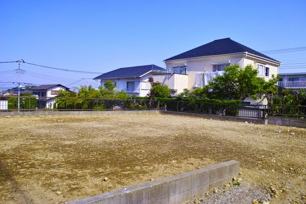 Cost of Lot Clearing Service in Mcallen
