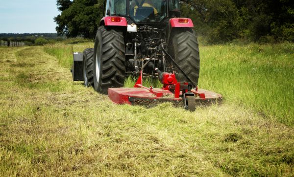 Cost of Brush Clearing Service in Mcallen