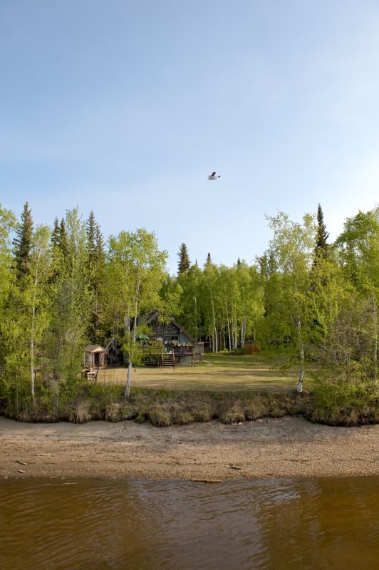 Site Before and After Clearing