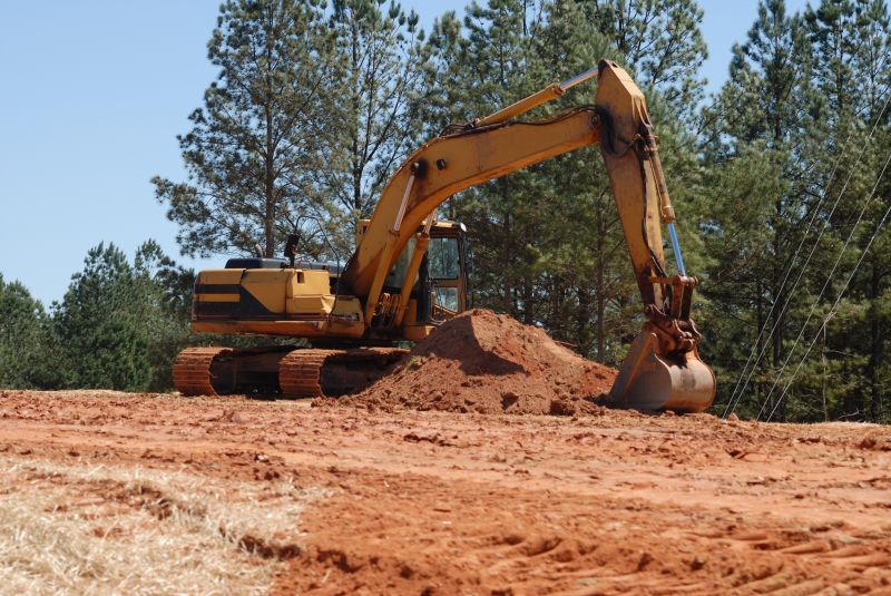 Skilled operators managing land clearing tasks