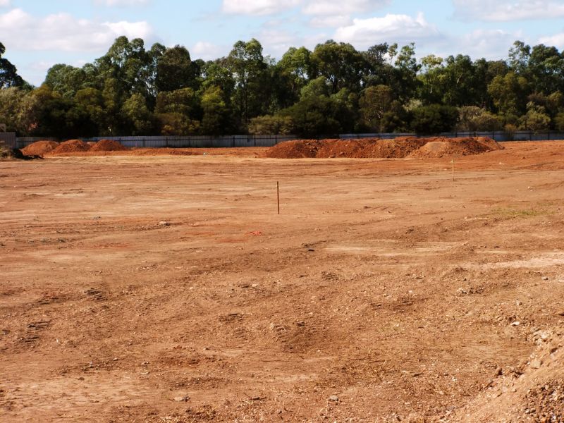 Who Does Land Clearings